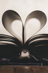 pagine di un libro ripiegate che formato il profilo di un cuore